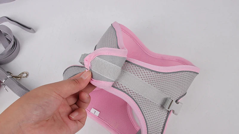 Harness Leash Set for Small Dogs