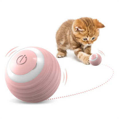 Cat Teaser Ball Pet Toy