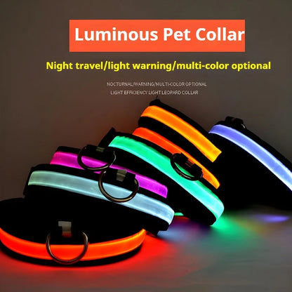 Dog Collar Nylon Night LED