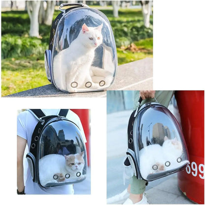 Transparent Bubble Pet Backpack