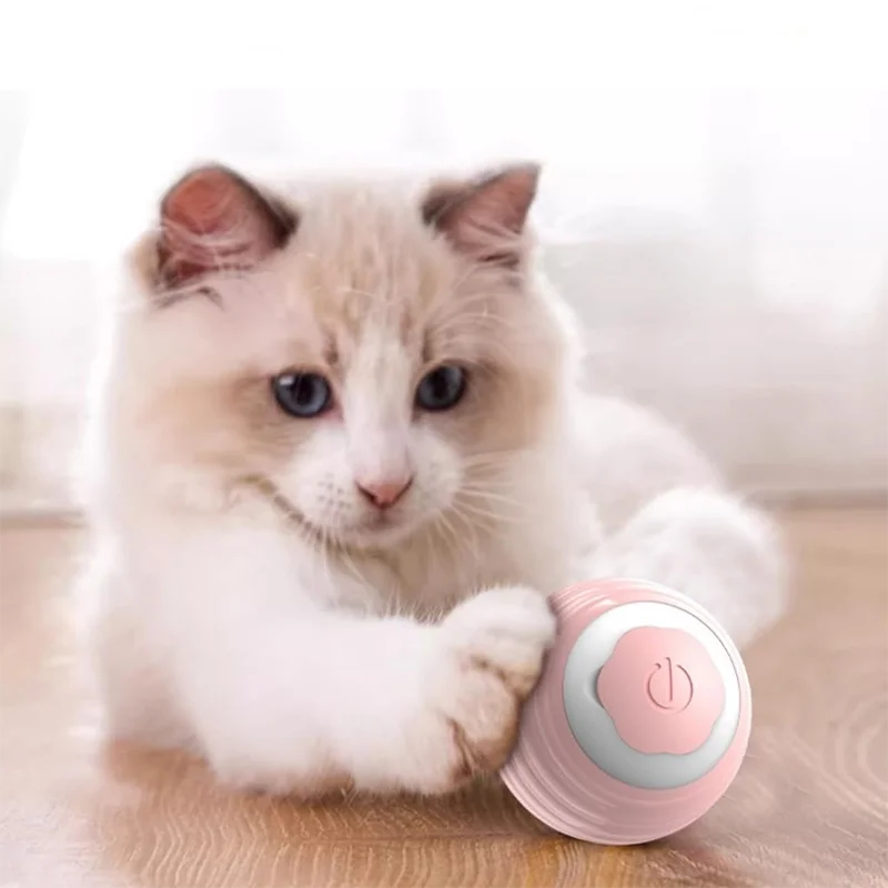 Cat Teaser Ball Pet Toy