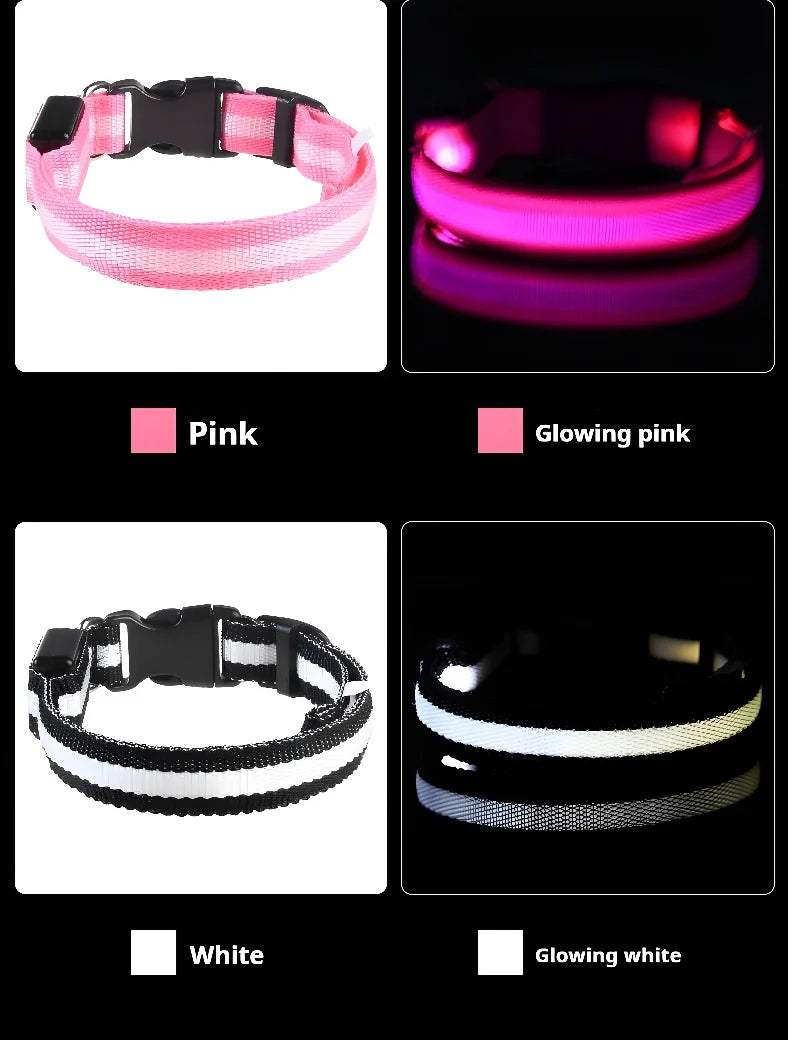 Dog Collar Nylon Night LED