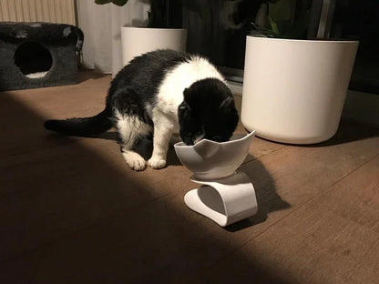 Non-Slip Double Cat Bowl