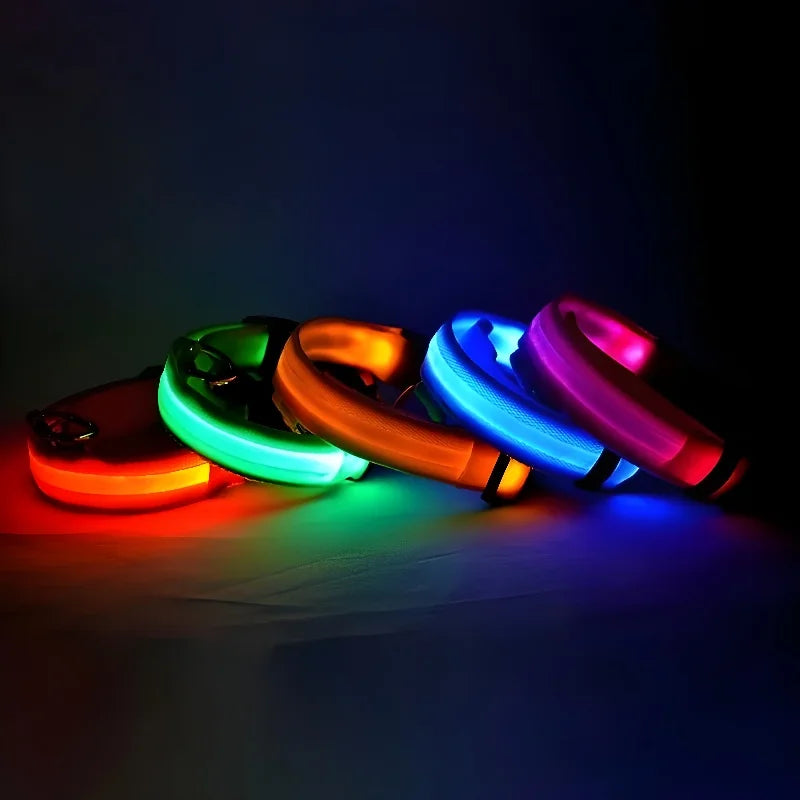 Dog Collar Nylon Night LED