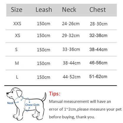 Harness Leash Set for Small Dogs