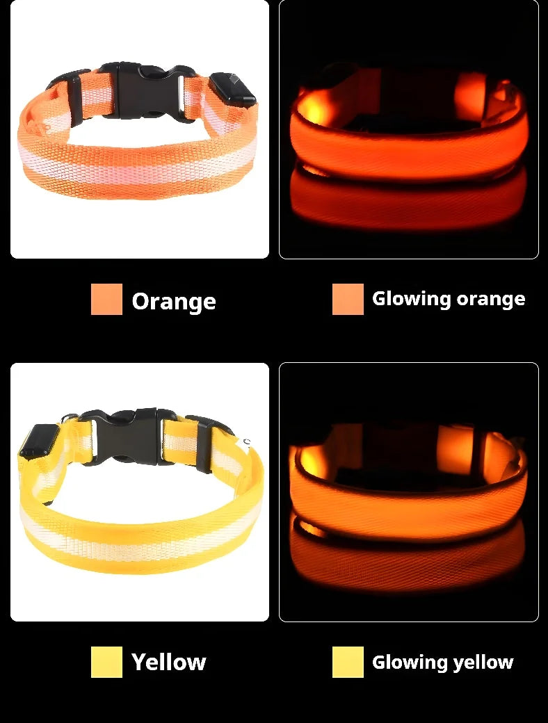 Dog Collar Nylon Night LED