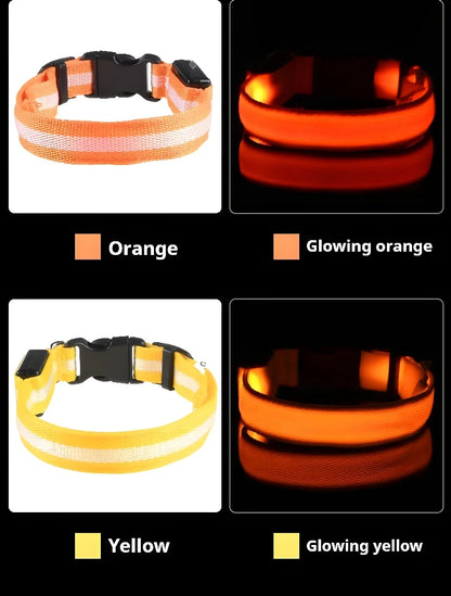 Dog Collar Nylon Night LED