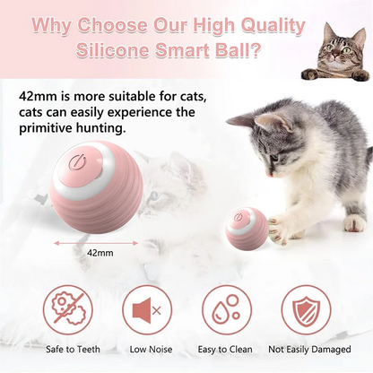 Cat Teaser Ball Pet Toy