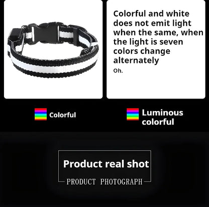 Dog Collar Nylon Night LED