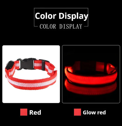 Dog Collar Nylon Night LED