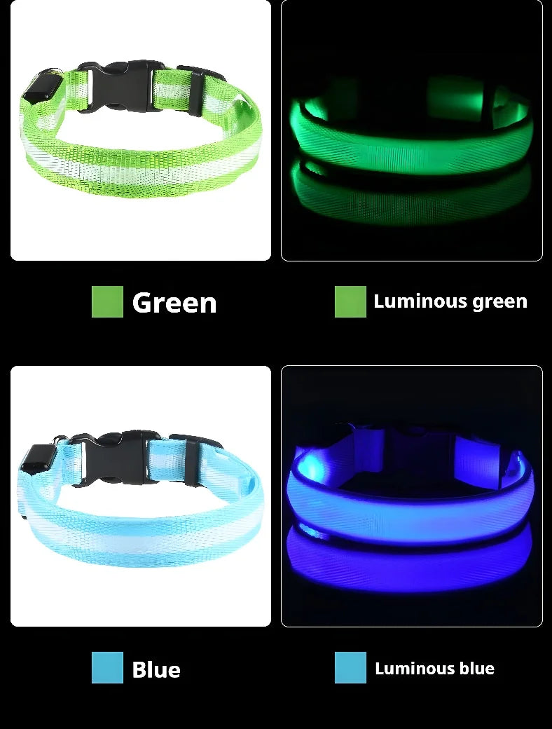 Dog Collar Nylon Night LED