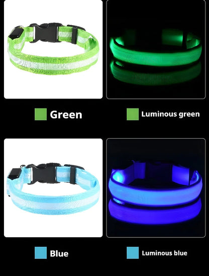 Dog Collar Nylon Night LED