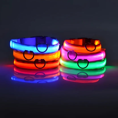 Dog Collar Nylon Night LED