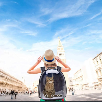 Transparent Bubble Pet Backpack