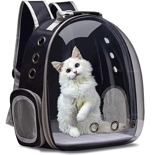 Transparent Bubble Pet Backpack