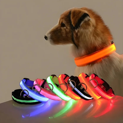 Dog Collar Nylon Night LED