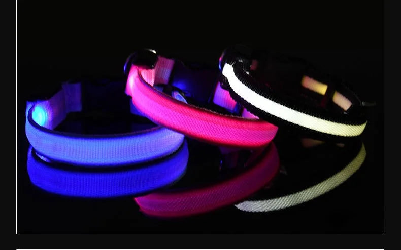 Dog Collar Nylon Night LED