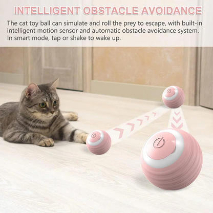 Cat Teaser Ball Pet Toy