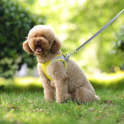 Harness Leash Set for Small Dogs