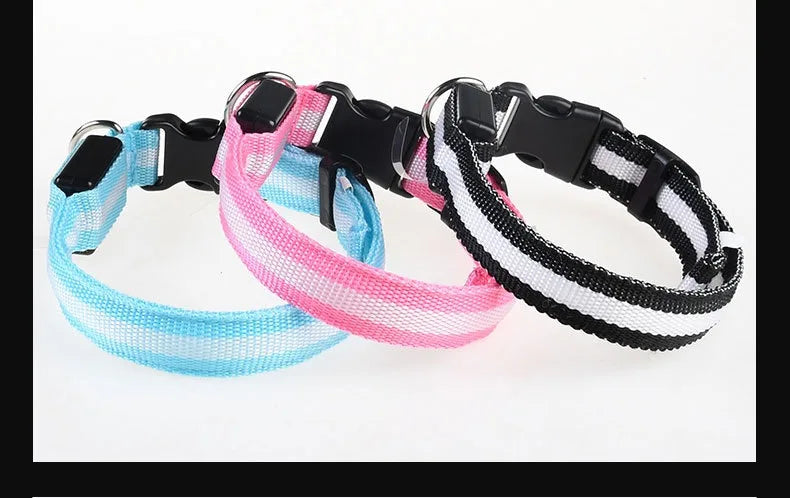 Dog Collar Nylon Night LED