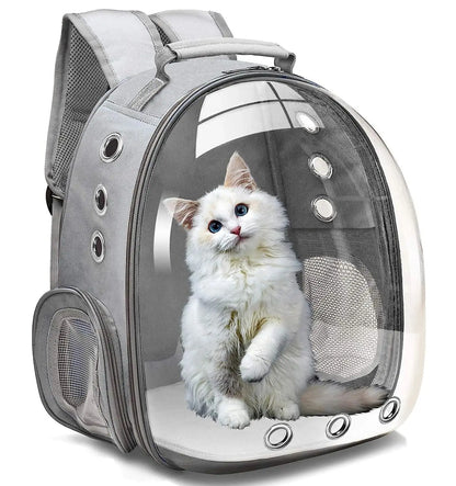 Transparent Bubble Pet Backpack