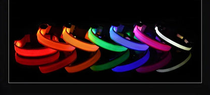 Dog Collar Nylon Night LED