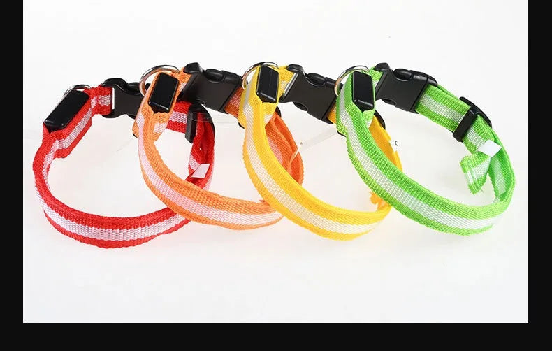 Dog Collar Nylon Night LED